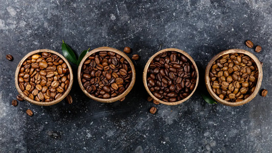 Best Coffee Beans for Beginners: Find Your Flavor