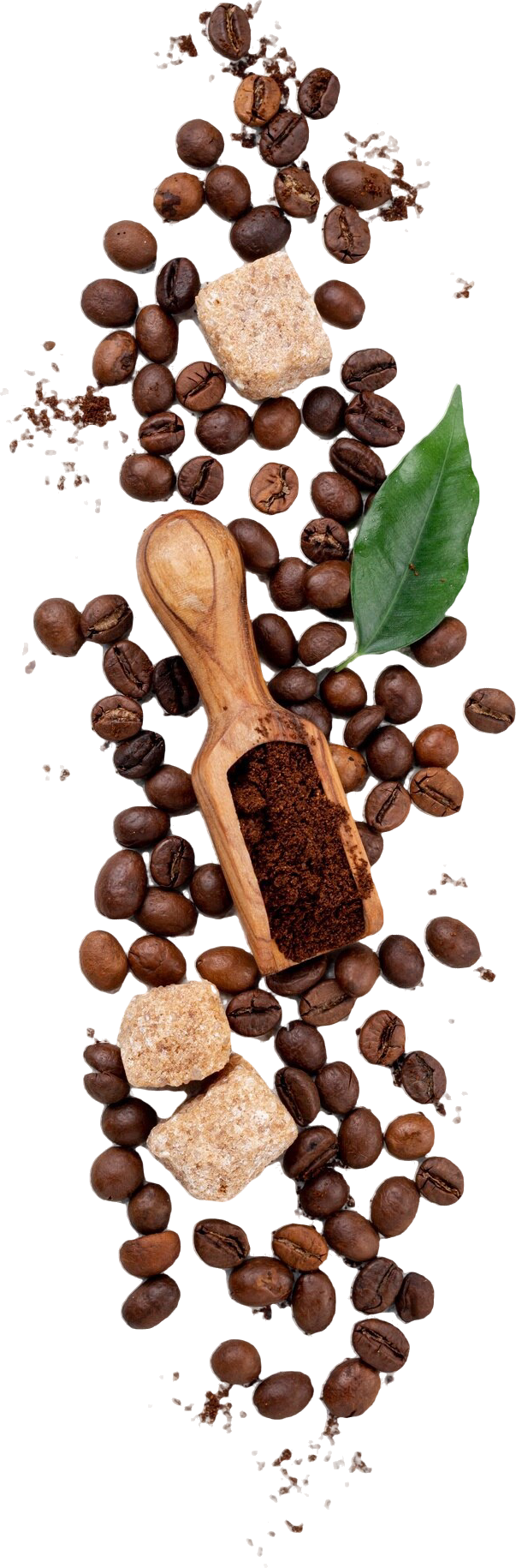 Coffee Beans Image
